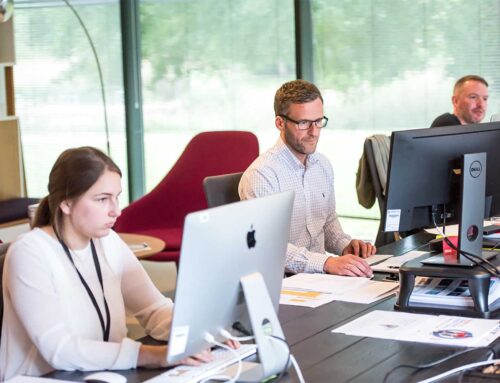 Website Translated To Thai